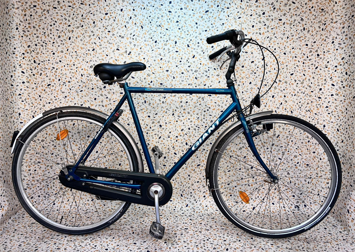 Giant Custom, 28”, 6 vxl