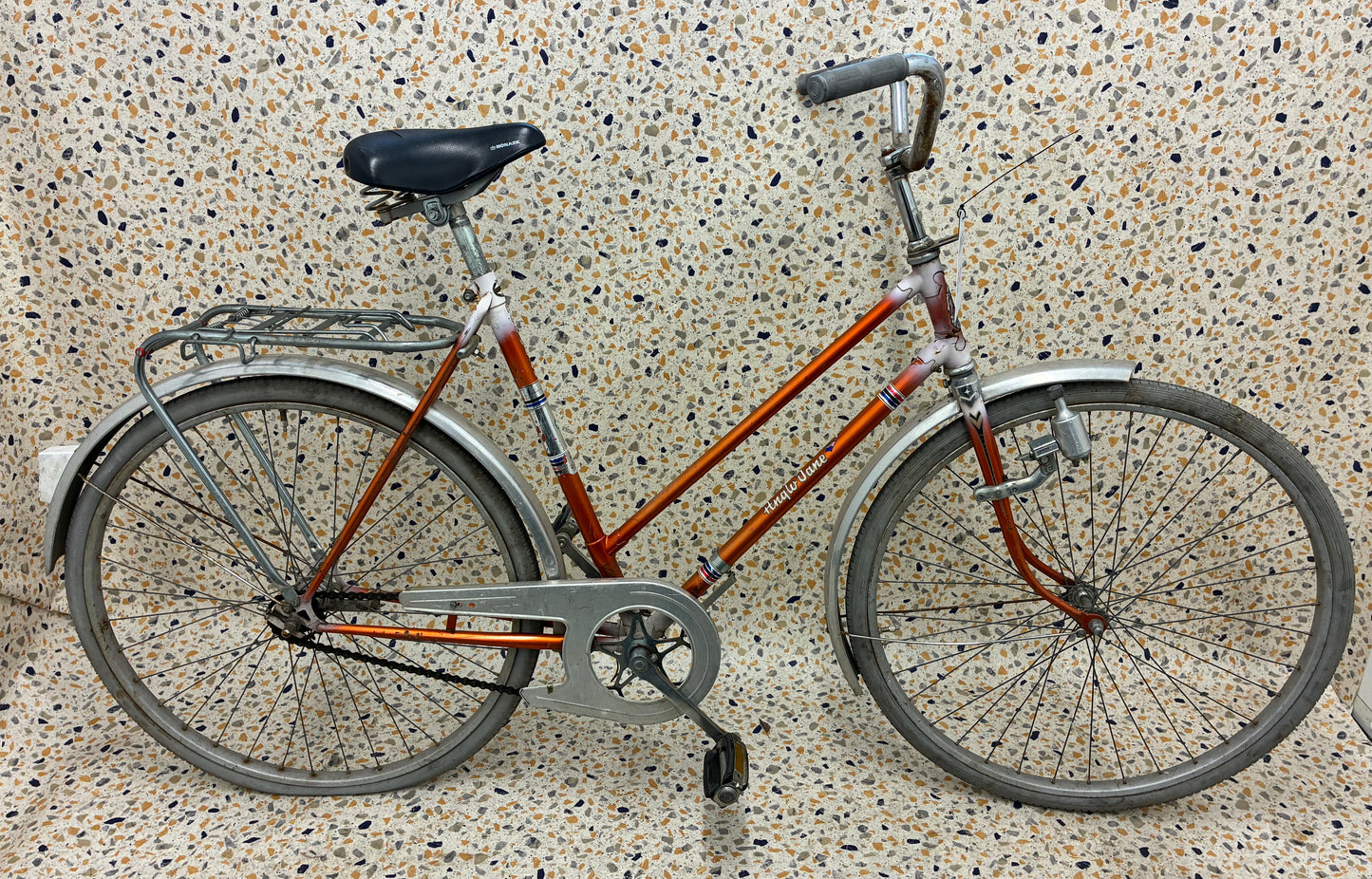 Anglo Dane City Veteran, 26"