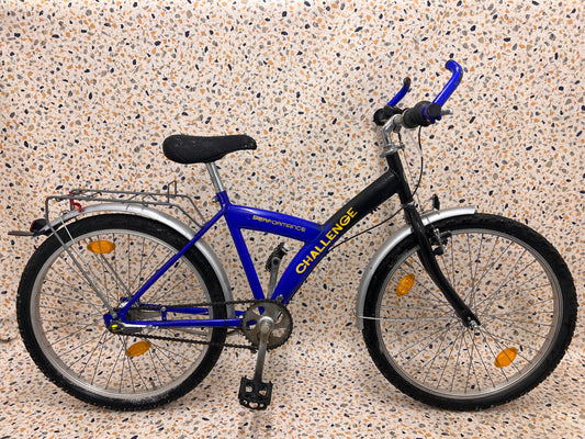 Challenge Performance, 24", 3 vxl