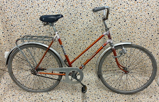 Anglo Dane City Veteran, 26"