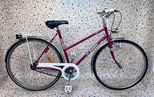 Skandic Basie, 28", 3 vxl