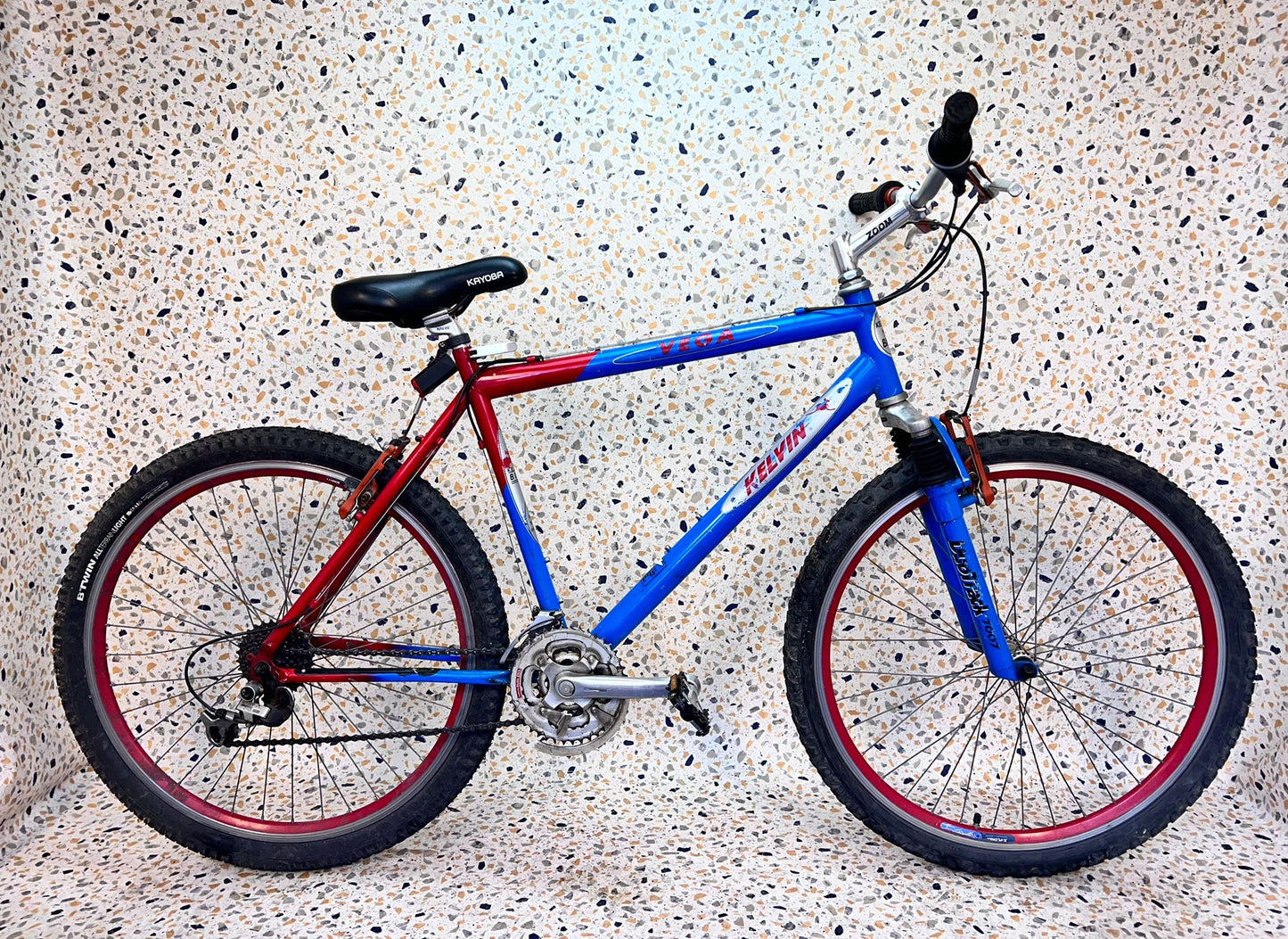 Kelvin Vega, 26", 21 vxl
