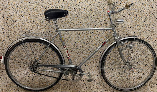 Globus GTX, 26”, 3 växlar