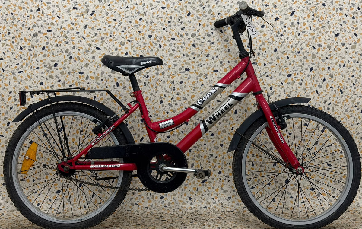 Peak Wheel Kookaburra, 20”