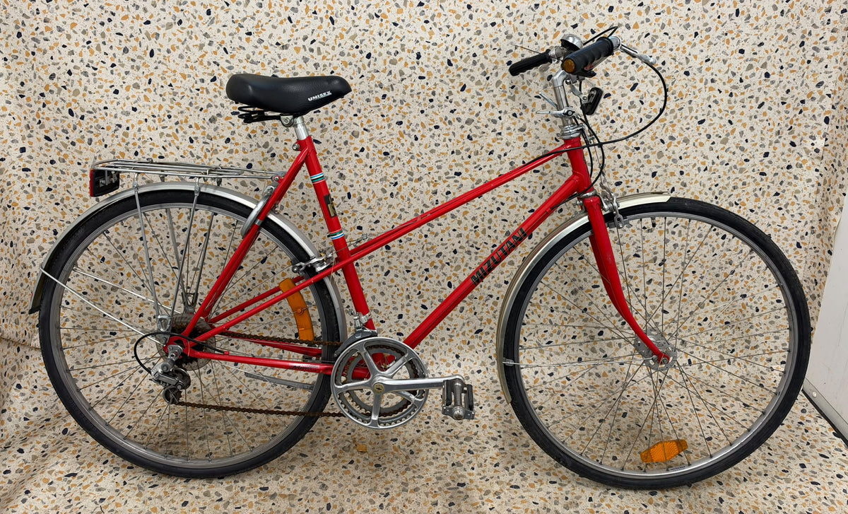Mizutani City Hybrid, 28”, 12 växlar