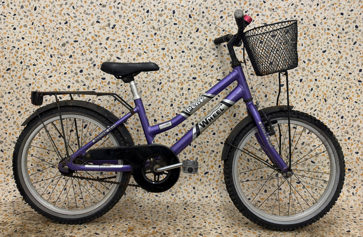 Peak Wheel, 20”